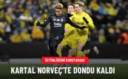 Kartal Norveç’te dondu kaldı