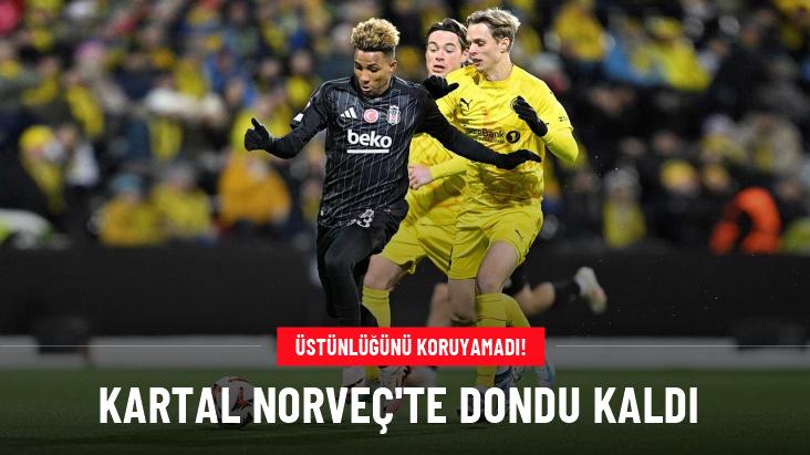 Kartal Norveç’te dondu kaldı